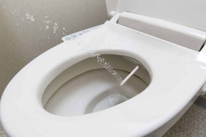 Completed Bidet Installation